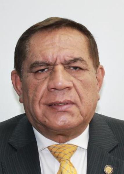 Candidato edgar-david-villanueva-nunez.jpg
