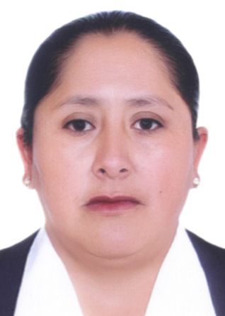 Candidato irene-carcausto-huanca.jpg