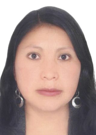 Candidato luz-marina-ari-chipana.jpg