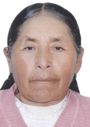 Candidato rosa-palomino-de-paucar.jpg