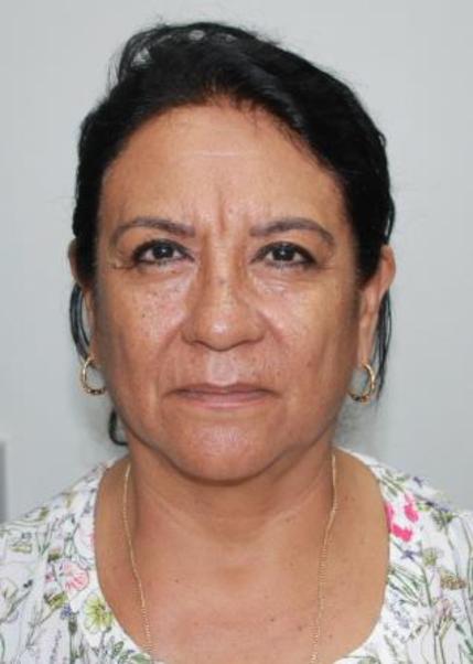 Candidato rosa-violeta-castro-torres-de-vigo.jpg