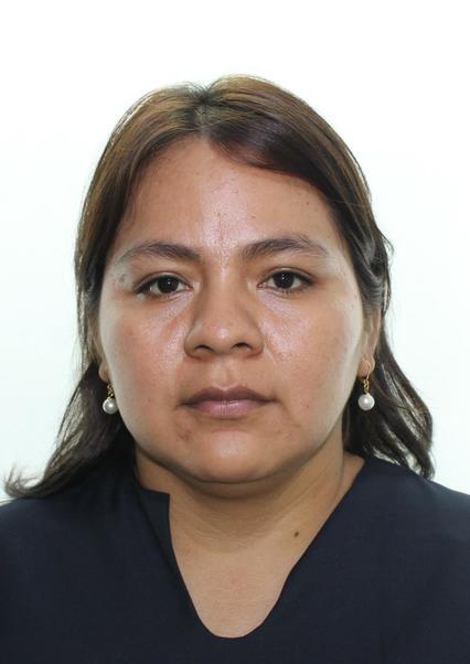 Candidato sivily-medaly-torres-huaman.jpg