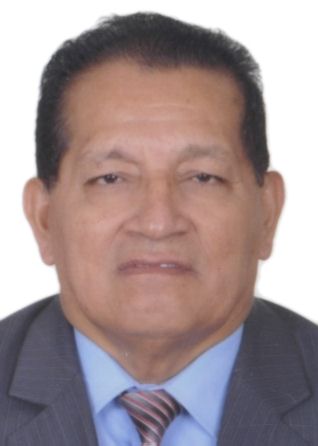 NESTOR GUSTAVO ENCINAS TENAZOA