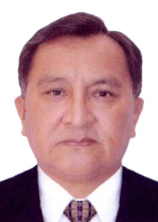 LUIS ALBERTO VICENTE YAYA