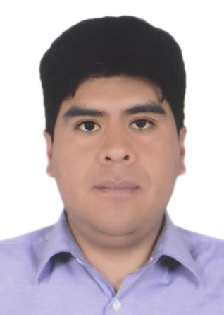 ELVIS SANDRO CARI CANCAPA