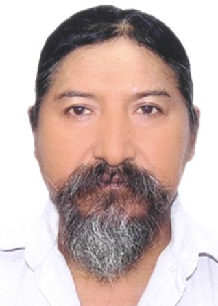 JULIO GREGORIO MAMANI MAMANI
