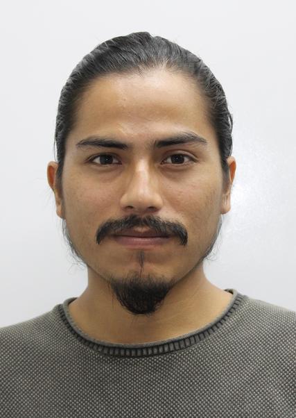 LUIS ALFREDO OCHICUA QUIQUINLLA