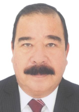 MANUEL ANTONIO MICHIELI TORRES