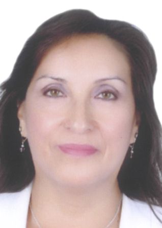 DINA ERCILIA BOLUARTE ZEGARRA