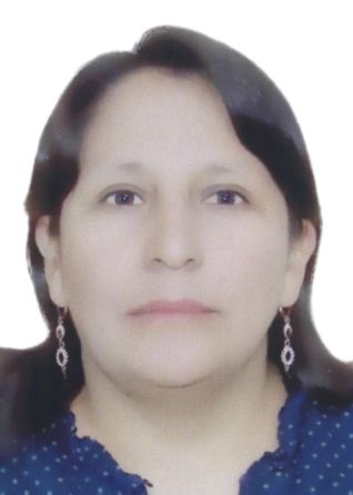 LUZ GLADIS VILA PIHUE