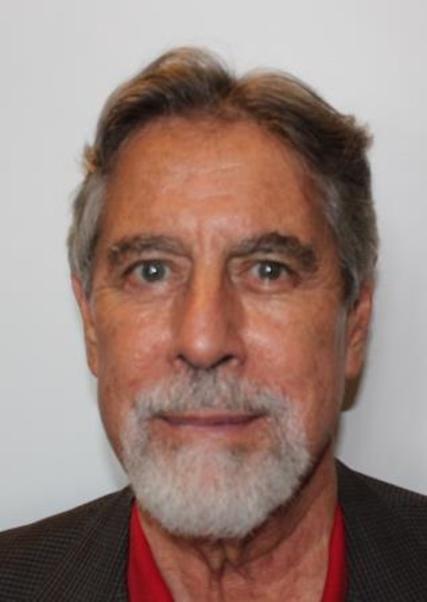 FRANCISCO RAFAEL SAGASTI HOCHHAUSLER