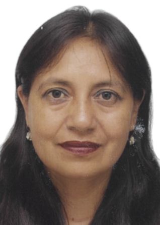 MARIA DEL CARMEN VILCHEZ CASTRO