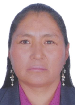 ELISABETH VILCA TICONA