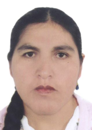 CLAUDIA FAUSTINA COARI MAMANI