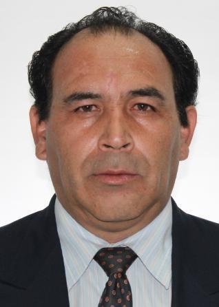 DAVID ALBERTO MANRIQUE SOTO