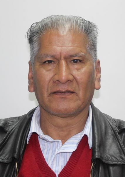 MARIO ERNESTO TOLEDO GUZMAN