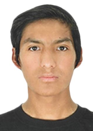 Alberto carlos fernandes condori