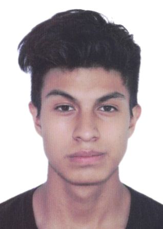 Alexander jesus yavar nole