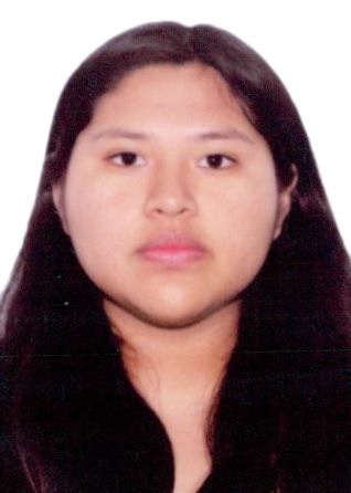 Alisson maryhan villafuerte quispe