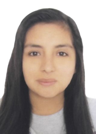 Amelia fernanda zeballos anco