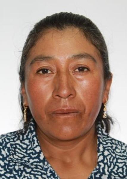 Ana Celestina Laura Chipana