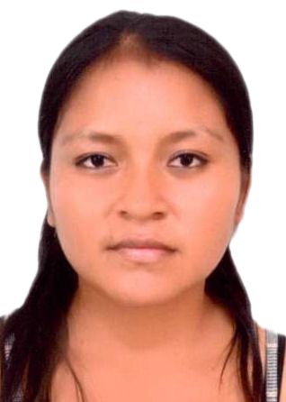 Ana elvira vargas inga