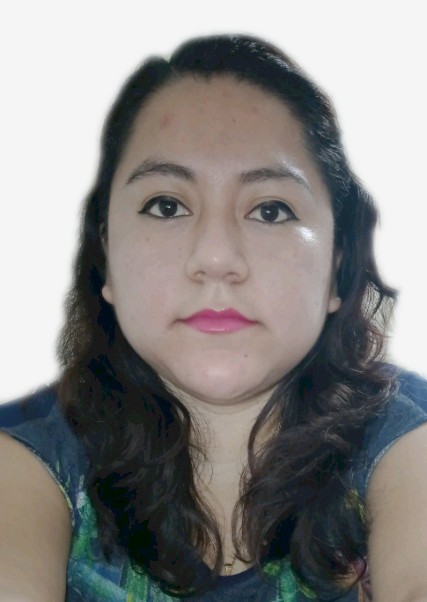 Ana Lisbeth Manrique Suclupe