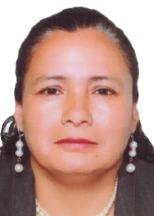 Ana maria chauca retuerto