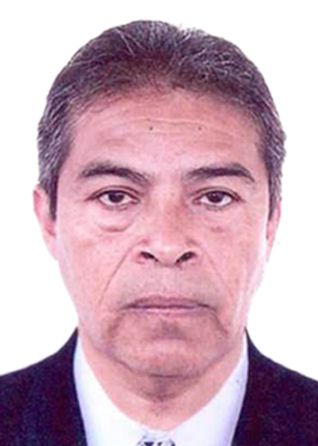 Andres alberto troncos delfin