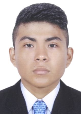 Andy Henderson Areque Molina