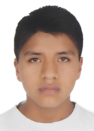 Anghelo michael diego ginche