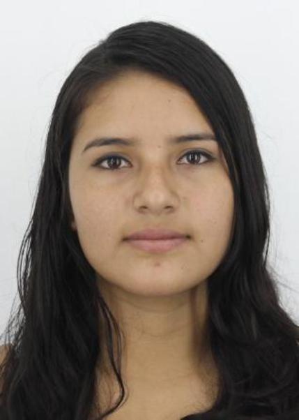Angie Briget Esthefanie Sarmiento Villoslada
