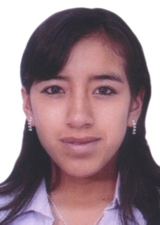Anny Elizabeth Villena Cerna
