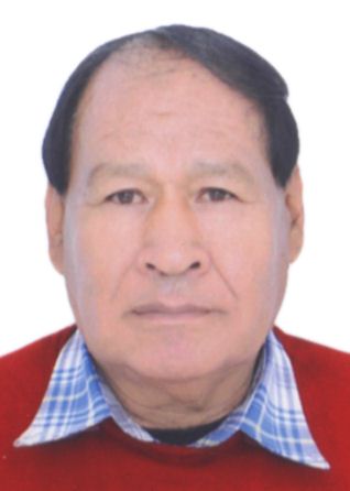 Antonio mario meneses mamani