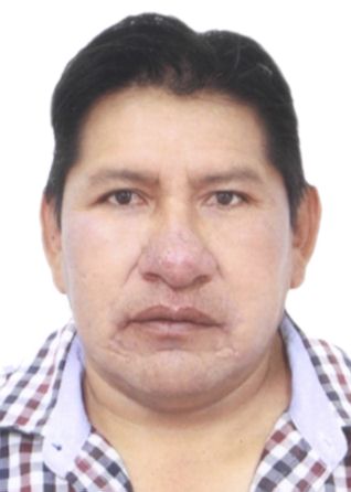 Armando Rafael Puma Feliciano
