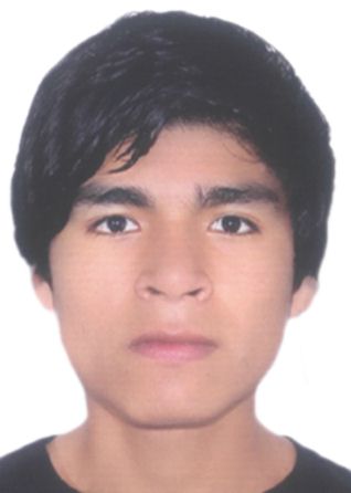 Arnaldo Yuler Alave Catacora