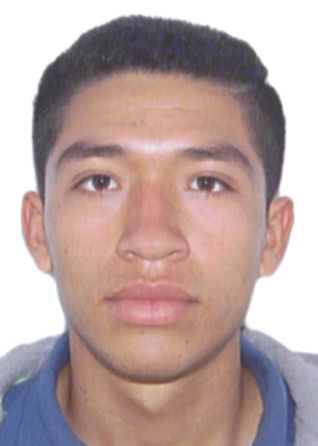 Brayan Constantino Alvarez Figueroa