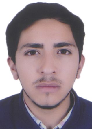 Briham jesus gonzales peÑa