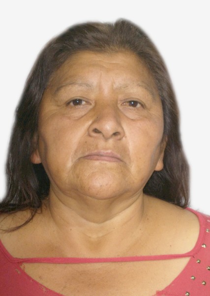 Carmen ahydee flores calagua