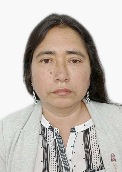 Carmen Virginia Bazan Linares