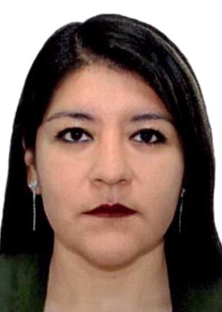 Catherine del carmen arce valqui