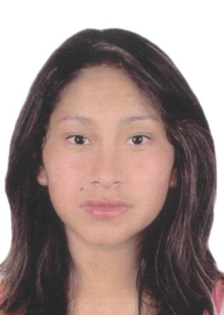 Cecilia alejandra alarcon vilca