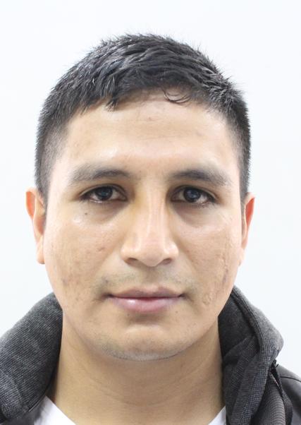 Cristian Bueno Apestegui
