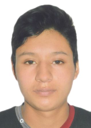 Cristober polin aldave