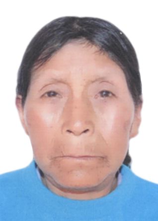 Damiana carhuas cayo