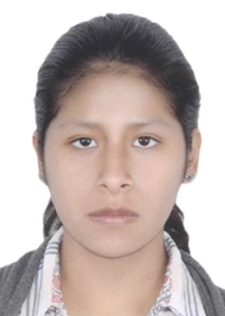 Danira guianela carbajal valdivia