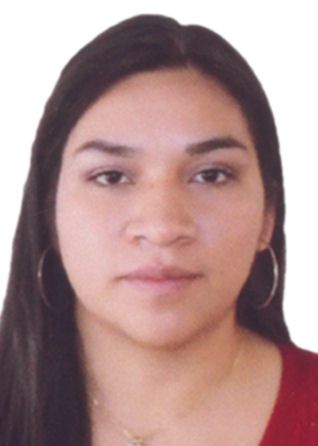 Danitza alessandra terrones novoa