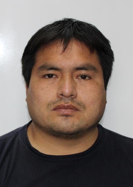 Dany David Carrasco Crespo