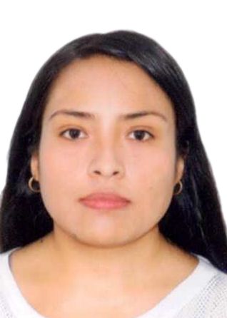 Dany Vanesa Castillo Rojas