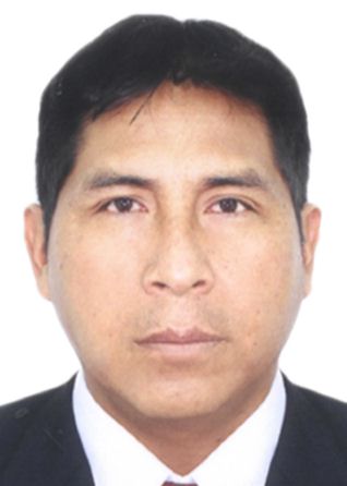 David Francisco Mamani Gutierrez